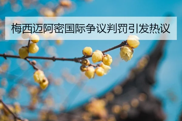 mei-xi-mai-a-mi-guo-ji-zheng-yi-pan-fa-yin-fa-re-yi-2-708.jpg